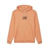 PICTURE ANKERTON HOODIE CADMIUM ORANGE
