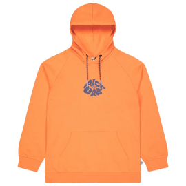 PICTURE THRU EYE H HOODIE