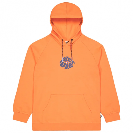 PICTURE THRU EYE H HOODIE