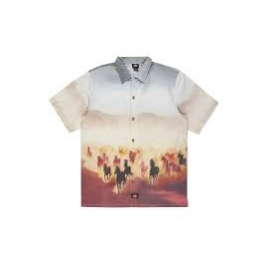 DICKIES RUNNIG WILD SHIRT SS OAK