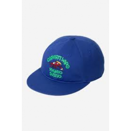CARHARTT WIP PRONTO CAP WOLFSBANE
