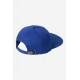 CARHARTT WIP PRONTO CAP WOLFSBANE