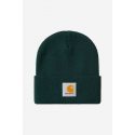 CARHARTT WIP SHORT WATCH HAT DARK FIR