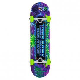 BIRDHOUSE COMPLETE CYBER MINI MULTI