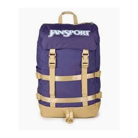 JANSPORT SKIP BACK 5Z0 AMETHYST ANGST