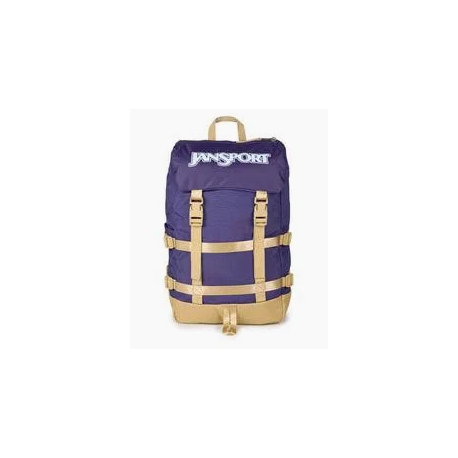 JANSPORT SKIP BACK 5Z0 AMETHYST ANGST