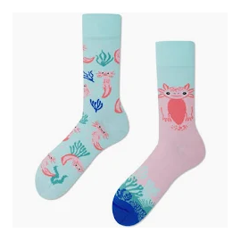 MANY MORNINGS A LOT AXOLOTLS