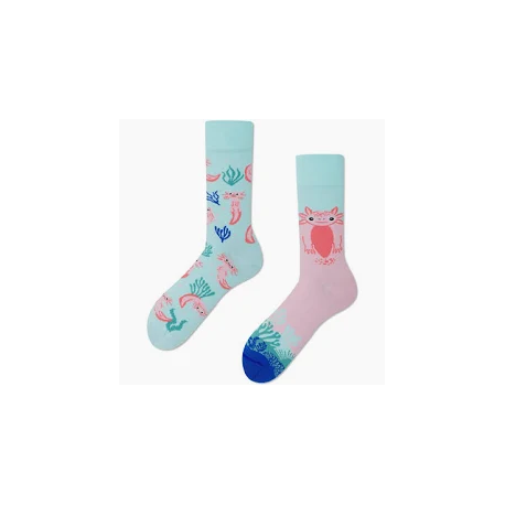 MANY MORNINGS A LOT AXOLOTLS