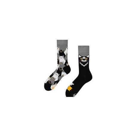  MANY MORNINGS BLACK CAT