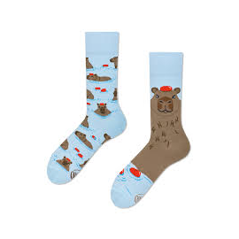 MANY MORNINGS CAPYBARA