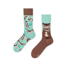 MANY MORNINGS OTTER STORIES