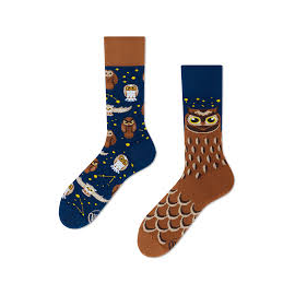 MANY MORNINGS OWLY MOLY