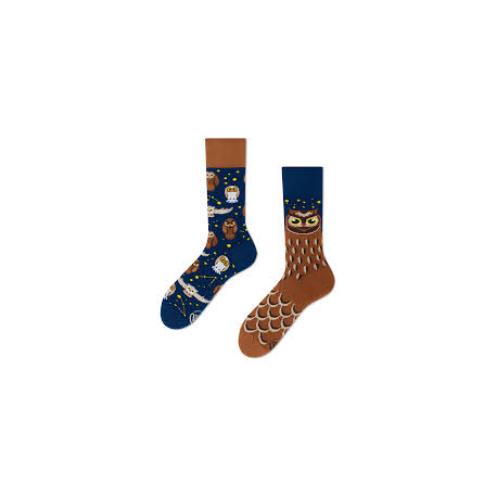 MANY MORNINGS OWLY MOLY