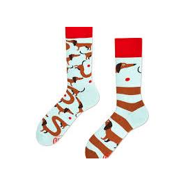 MANY MORNINGS SAUSAGE DOG