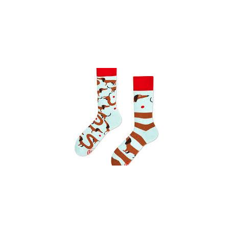 MANY MORNINGS SAUSAGE DOG