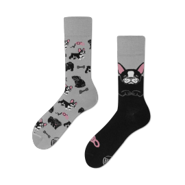 MANY MORNINGS THE LITTLES DOGS