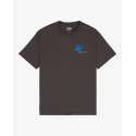 RVCA AF BIRDS SS TEE