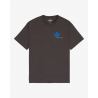 RVCA AF BIRDS SS TEE