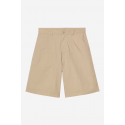 CARHARTT WIP POSTAL DK SHORT IROKO