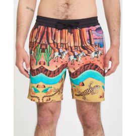 VOLCOM FA MICKEY MASON TRUNK 17 MULTI