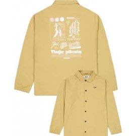 PICTURE KOACHY JACKET LARK