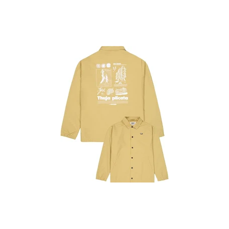 PICTURE KOACHY JACKET LARK