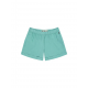 PICTURE SESIA SHORTS B WASABI 