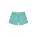 PICTURE SESIA SHORTS B WASABI