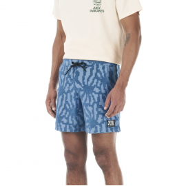 PICTURE SPONGY SHORTS A BLUE FLOWER E