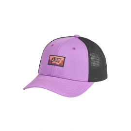 PICTURE ZEPHYR TRUCKER VERBENA