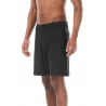 PICTURE PODAR HYBRID 19 BRDS BLACK