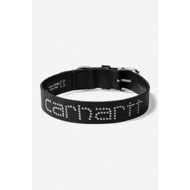 CARHARTT WIP SCRIPT STUDS DOG COLLAR BLACK M/L