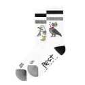 AMERICAN SOCKS PEST CONTROL